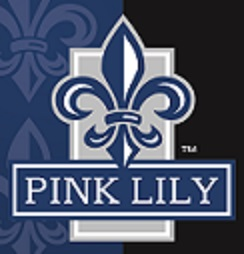 Pink Lily Jewellery & Hair Accessories